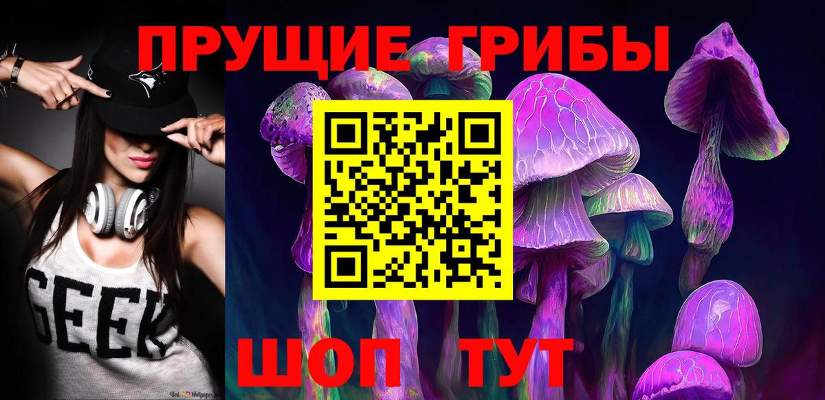 наркотики  Вход с VPN  Россошь  Псилоцибиновые грибы Psilocybine cubensis 